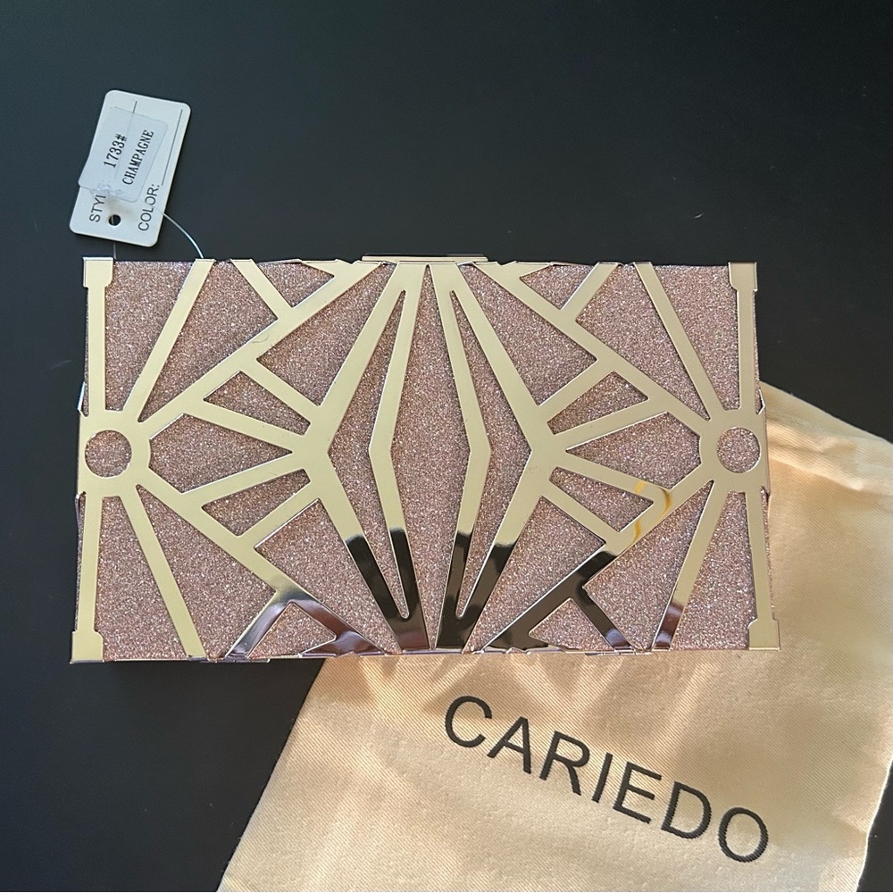cariedo clutch purse champagne gold NWT crossbody bag with chain